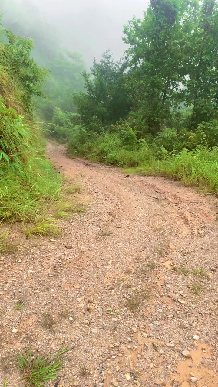 @थानेश्वर ज्ञवाली