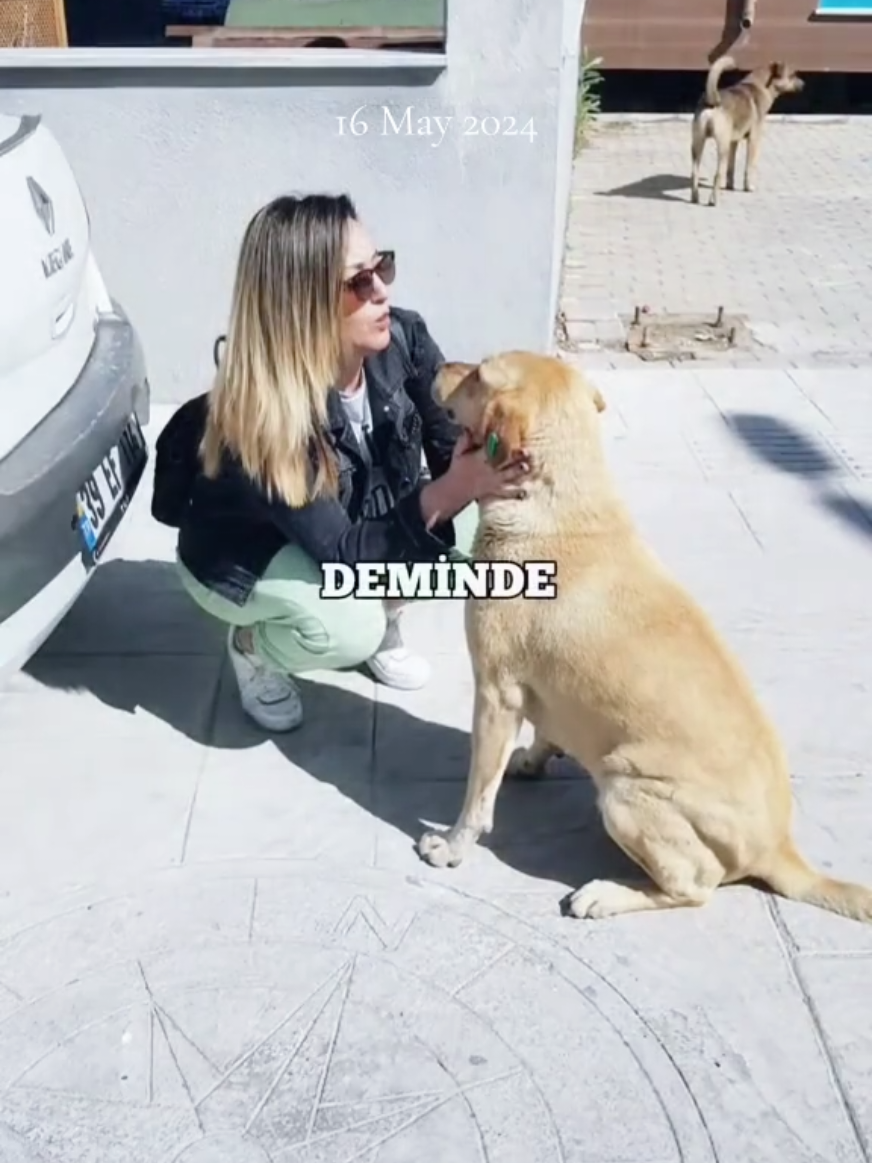 @Derya_DERO