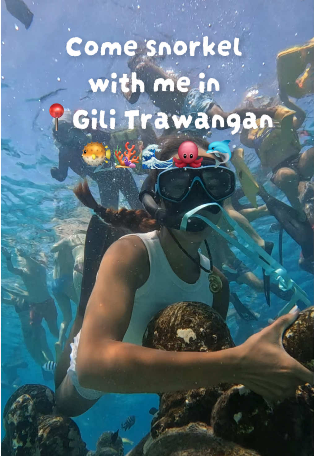 @๐ฝ๐๐๐°โ๐ผ