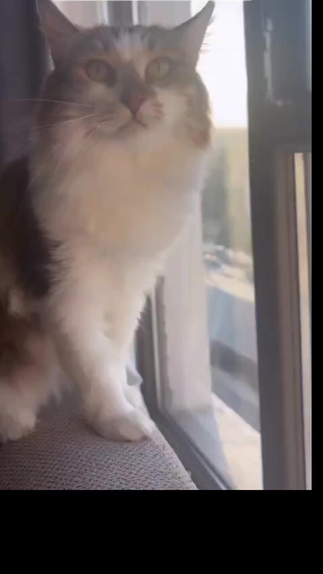 @gamzeli kızı 😊 minnoşlari