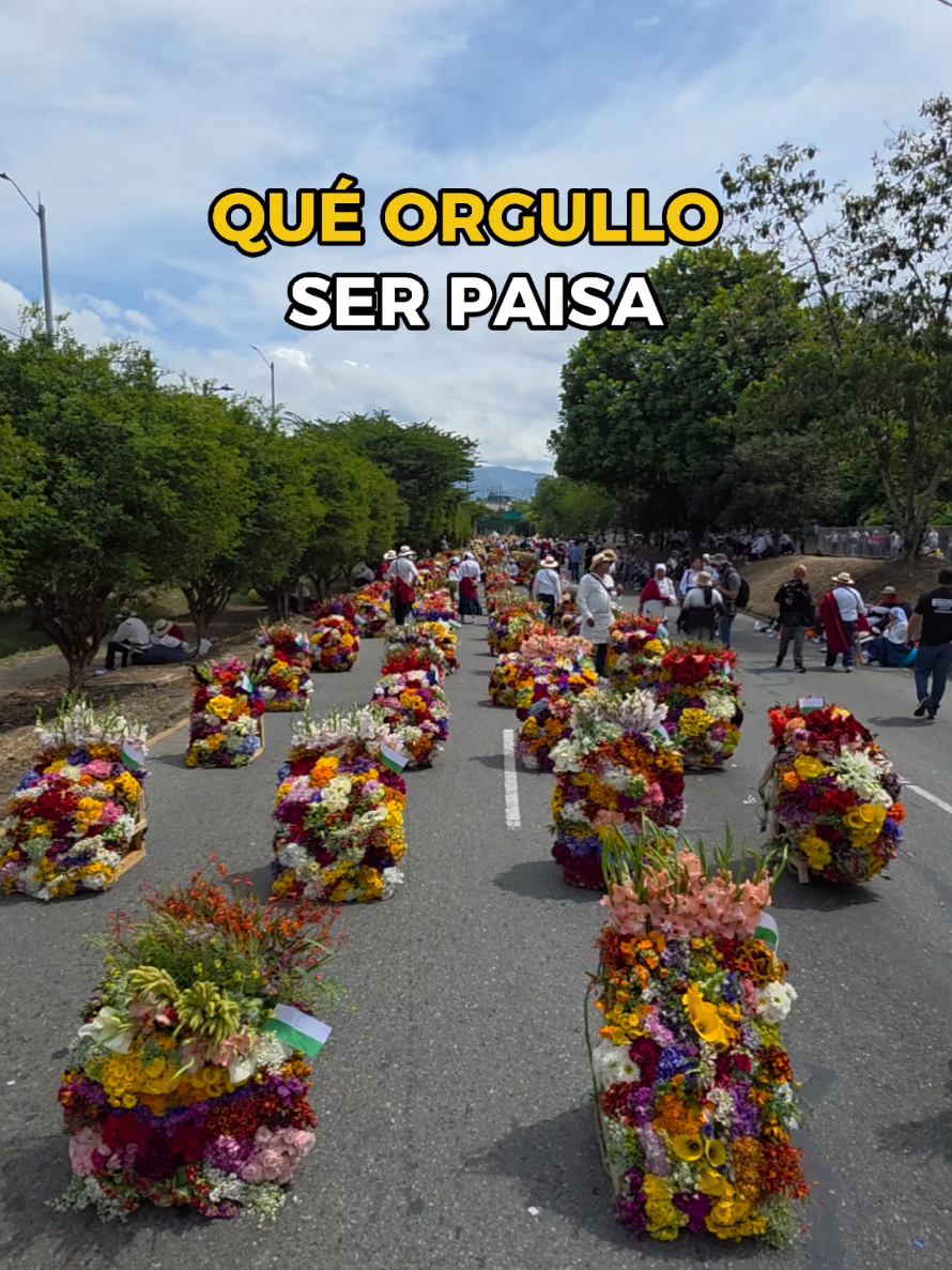 @Visitar Medellin