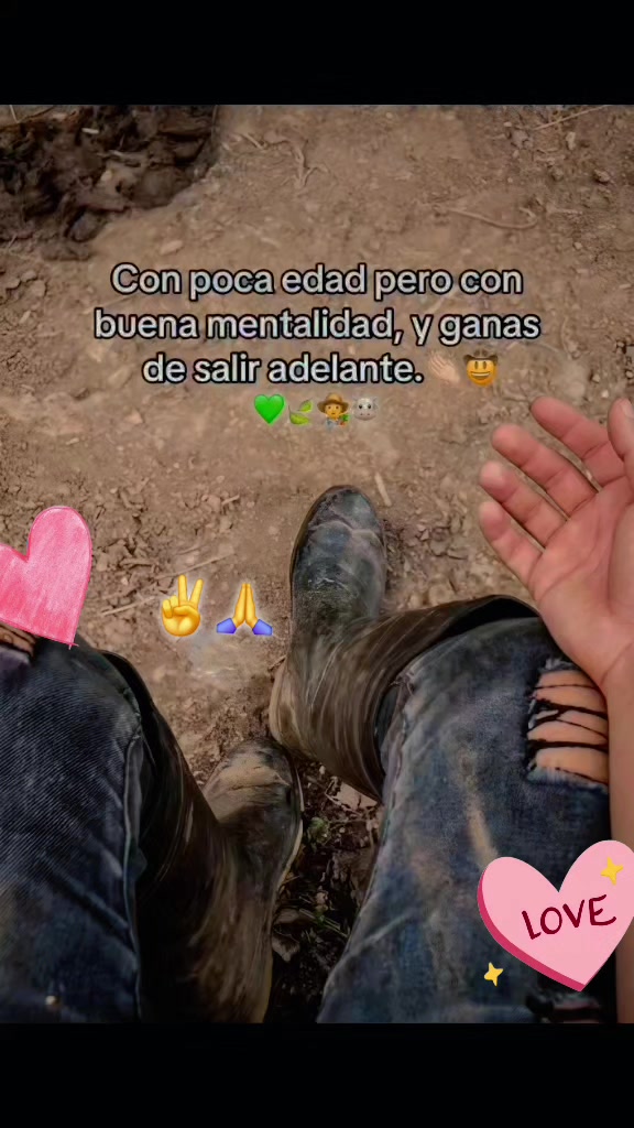 @Sara Peres