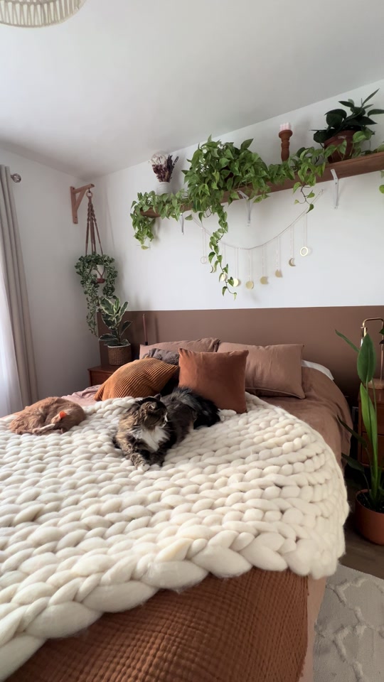 @Laura | Plants & Home decor
