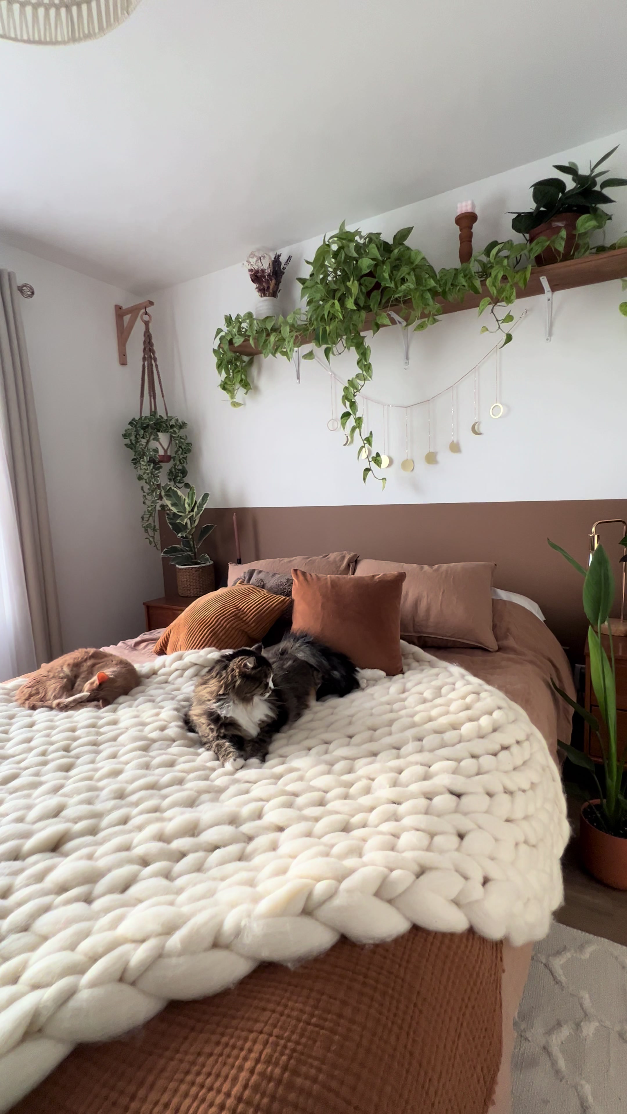 @Laura | Plants & Home decor