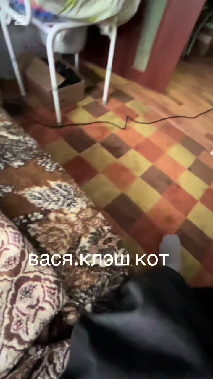@лс вонючий✌🏿