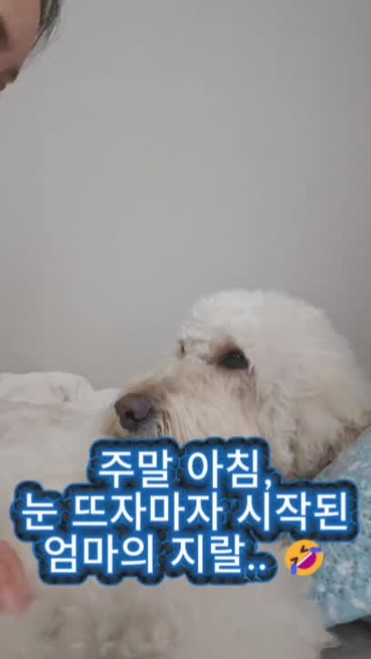 @백서현218