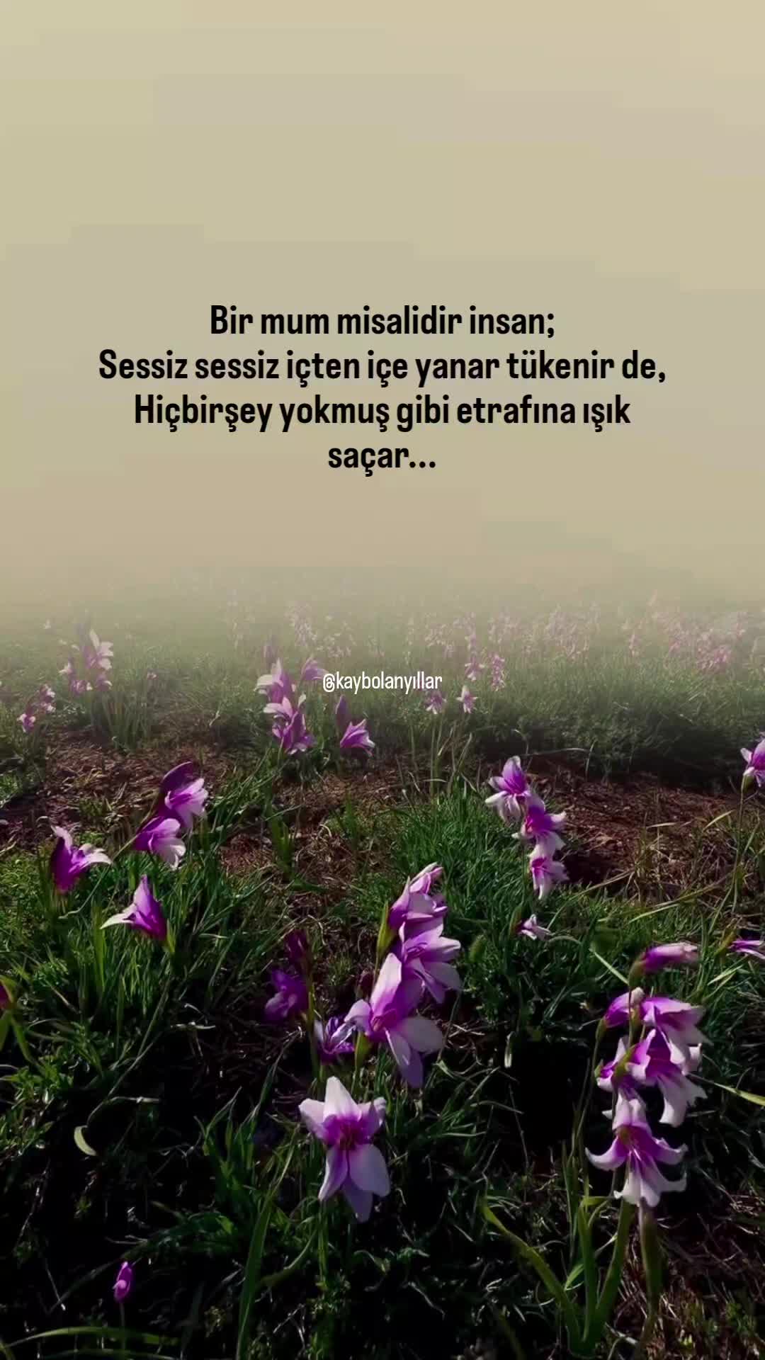 @𝐊𝐚𝐲𝐛𝐨𝐥𝐚𝐧 𝐲ı𝐥𝐥𝐚𝐫