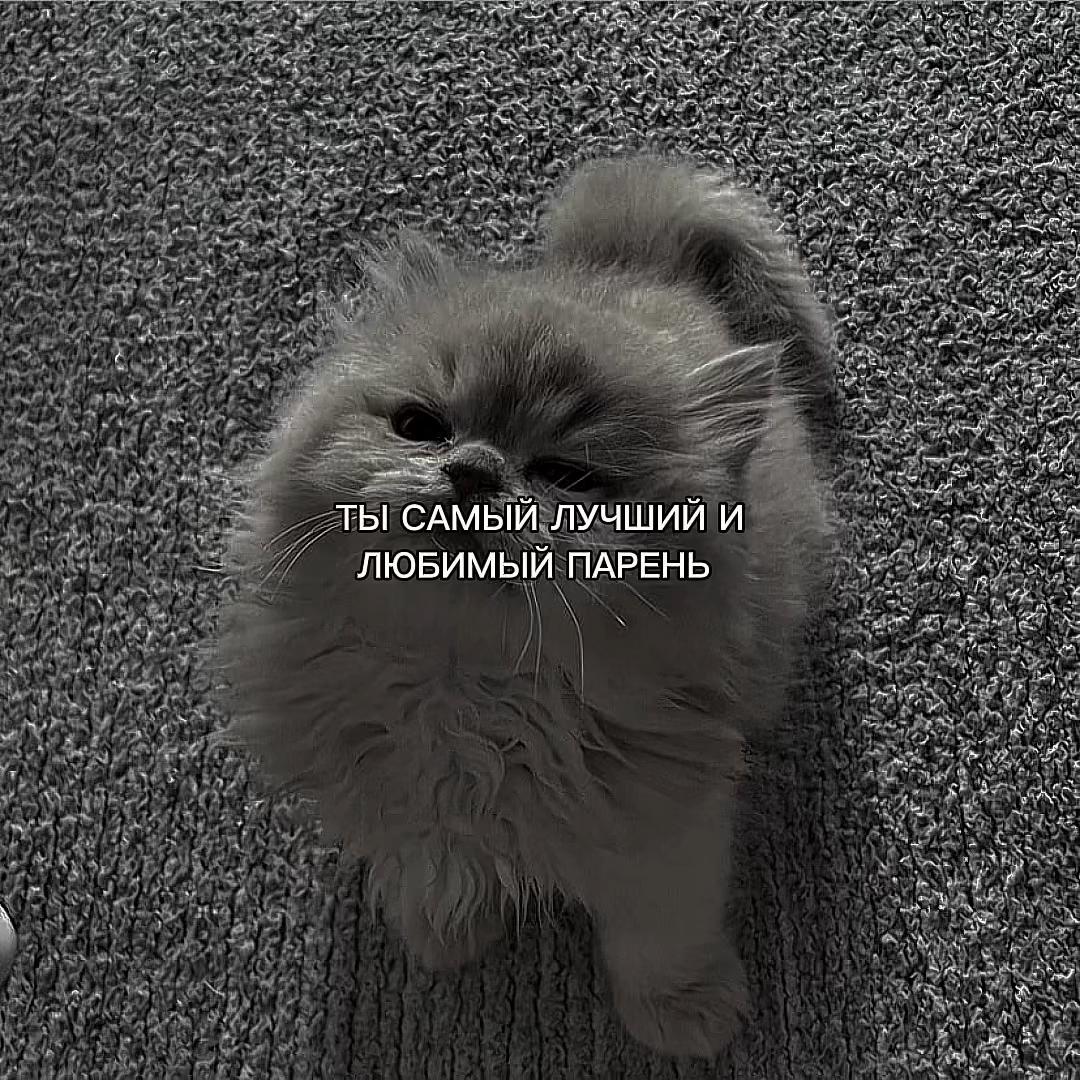 @ХХИКА