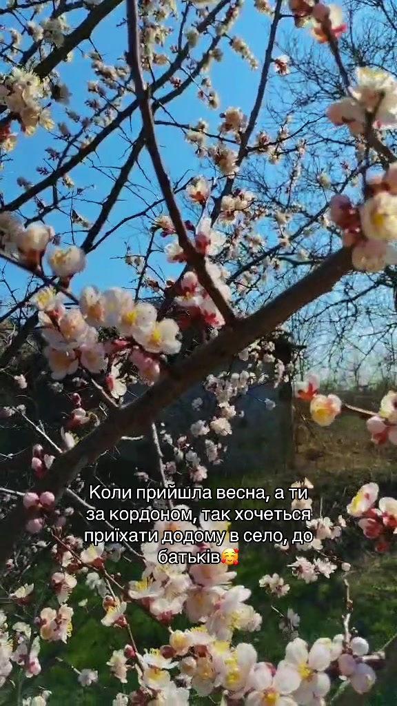 @юлька🫦