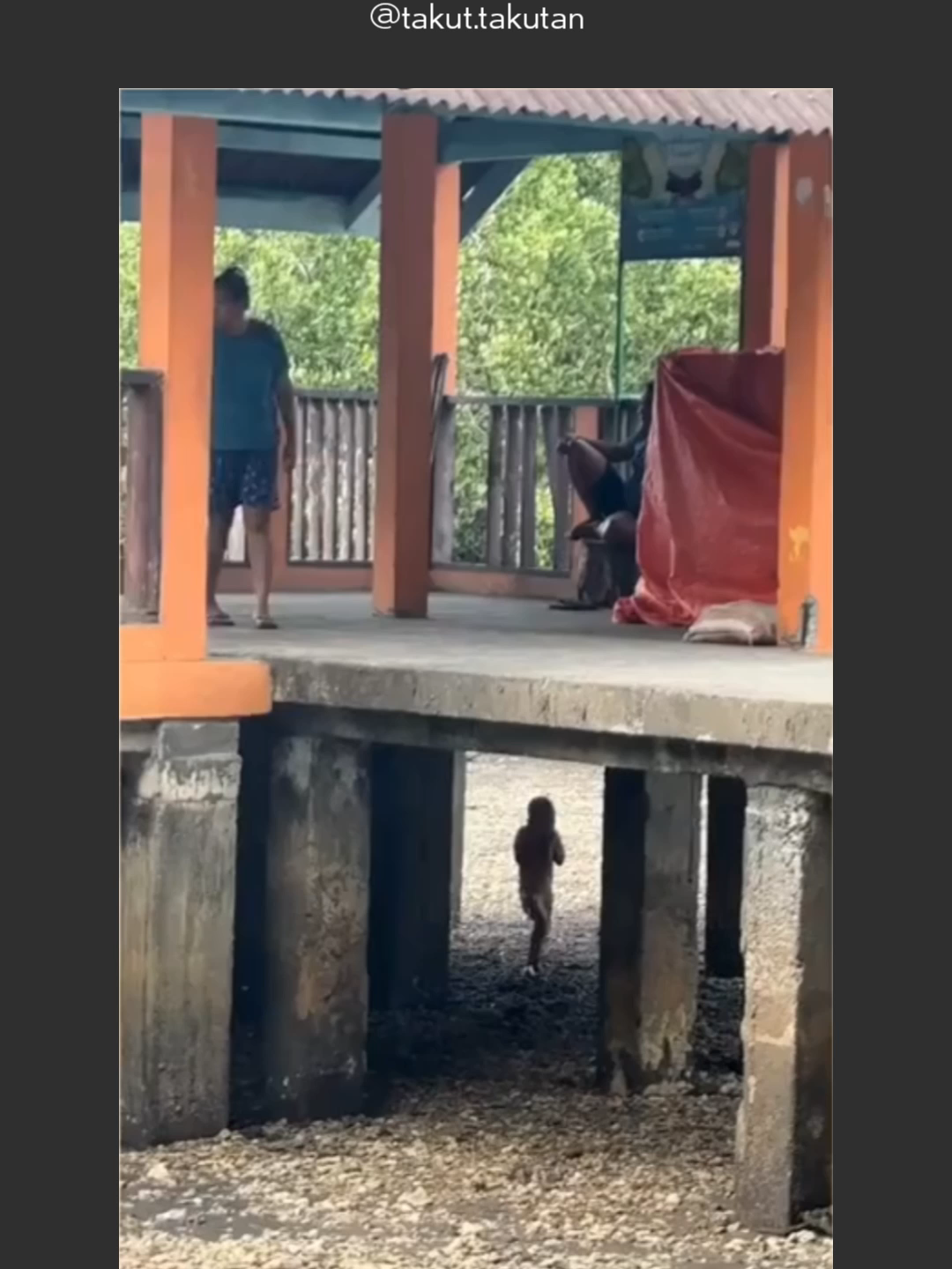 @takut.takutan