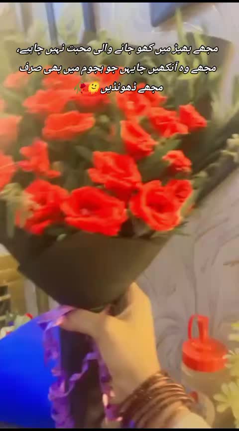 @sanaya rajpoot