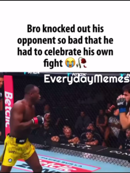 @EverydayMemes
