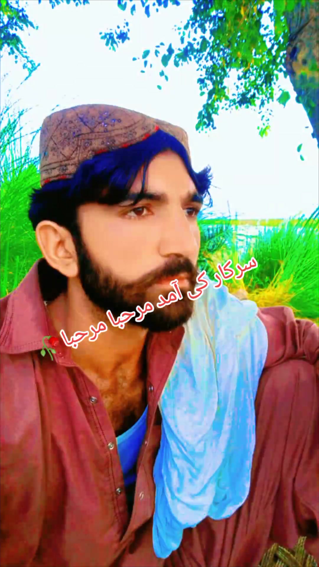 @zohaib Malik