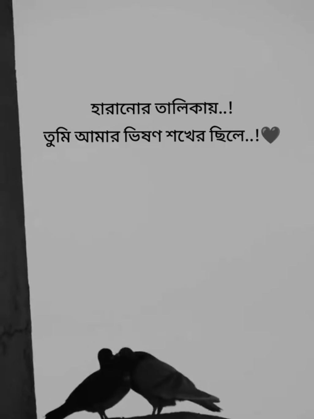 @শেষ কথা(S)📝𓆩❤︎𓆪