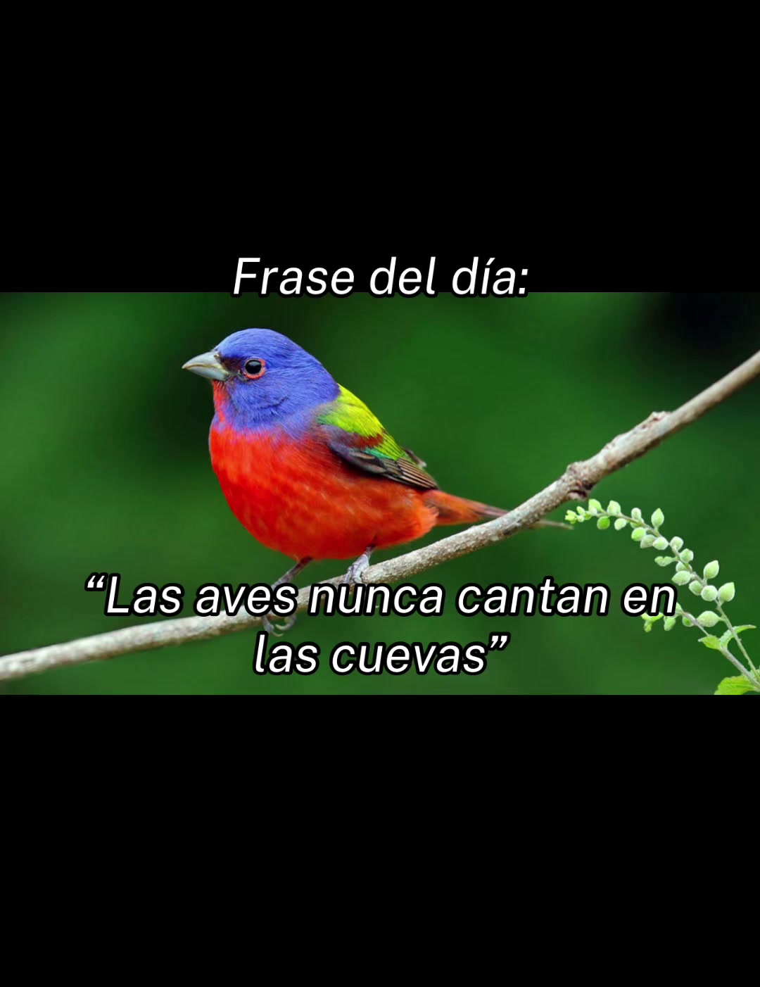 @alanbrito👀