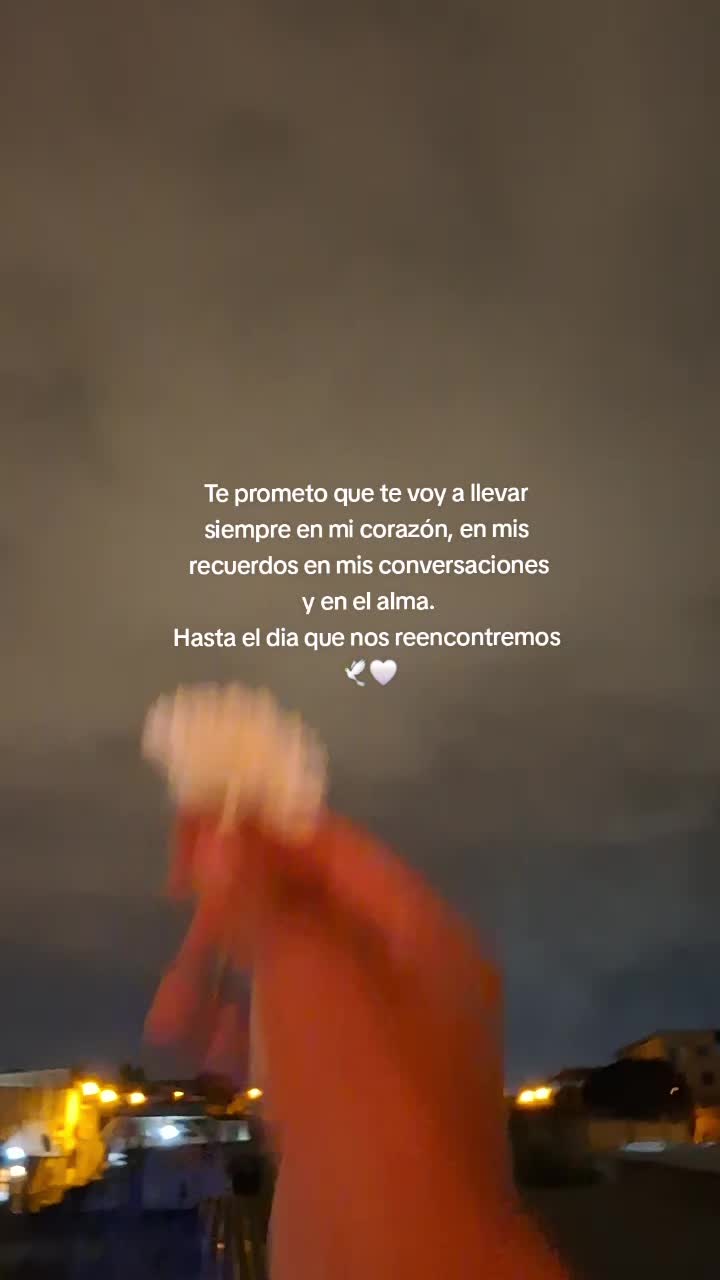 @SAUL 🕸👾