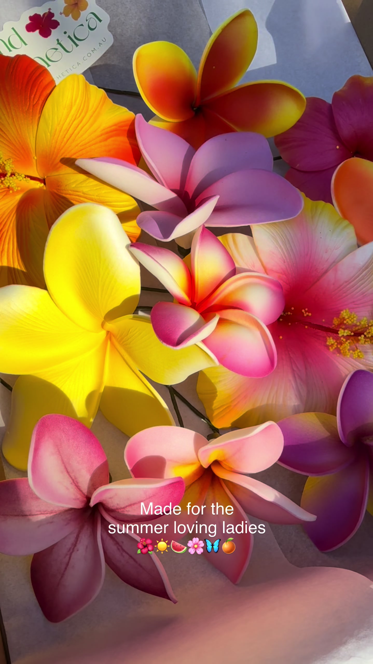 @Island Aesthetica 🌺 Pasifika