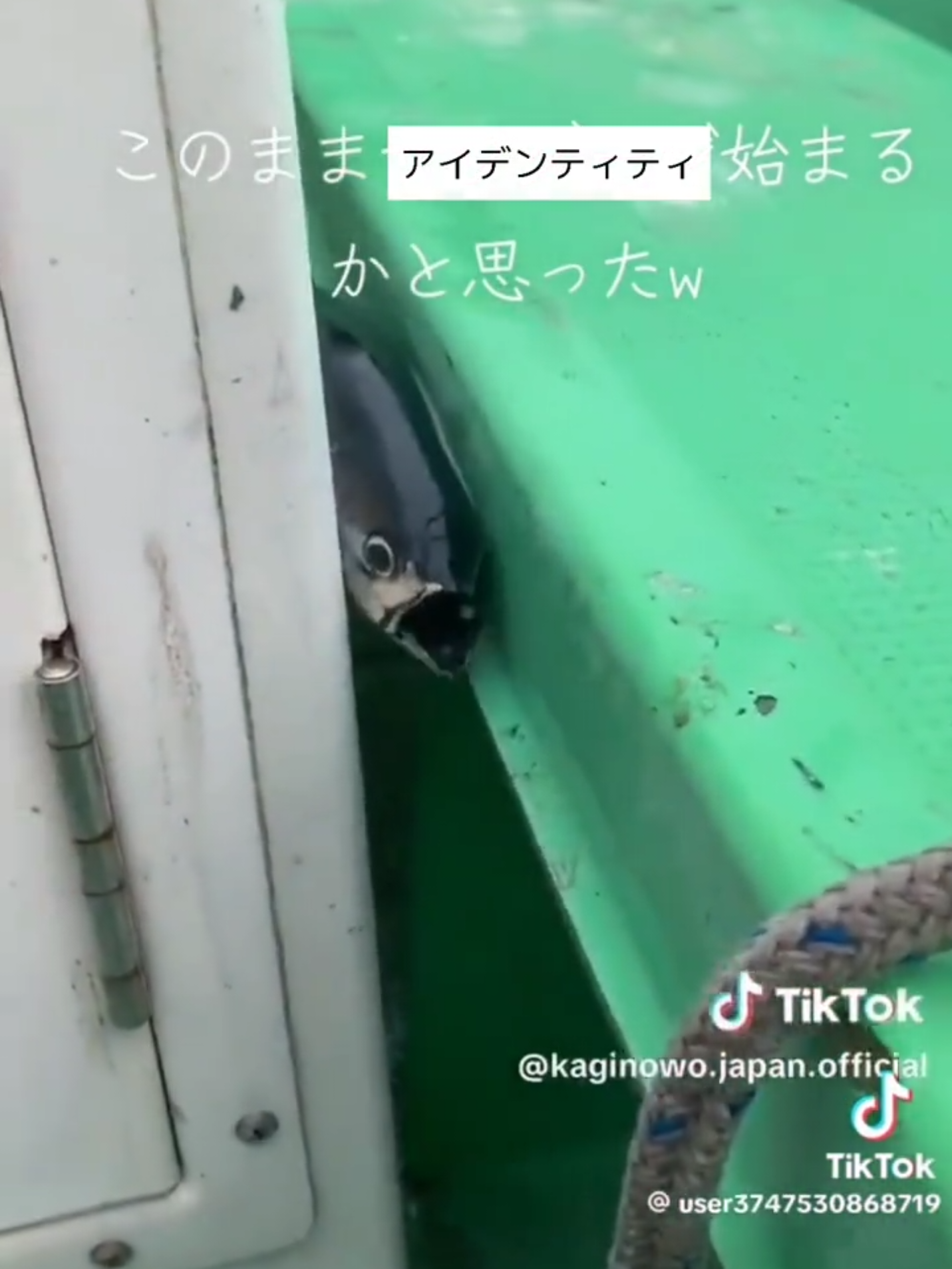 @タピオカ