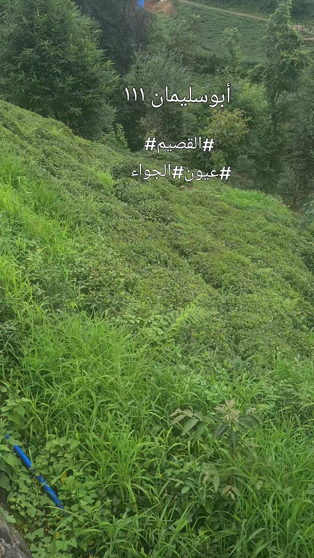 @ALserhany111