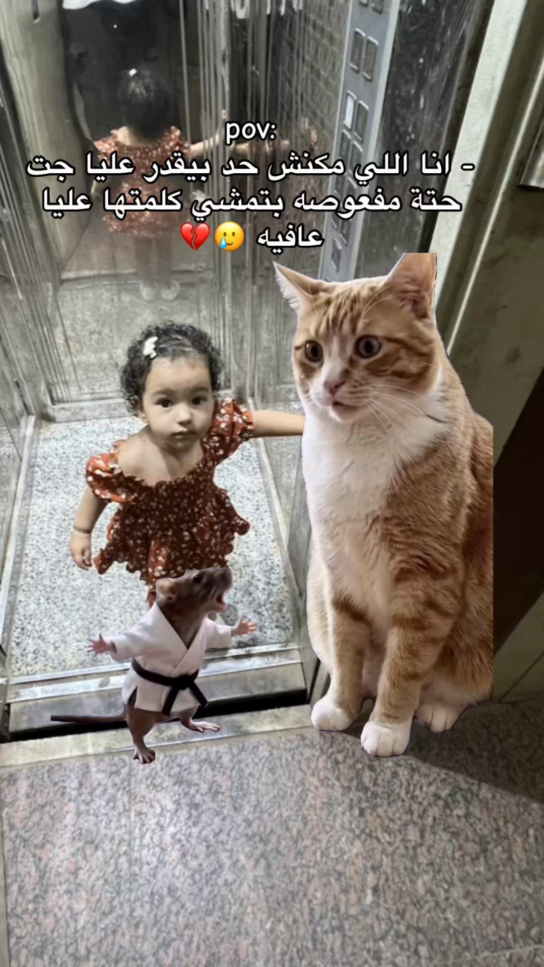 @❤ Nasser&Gharam mum ❤