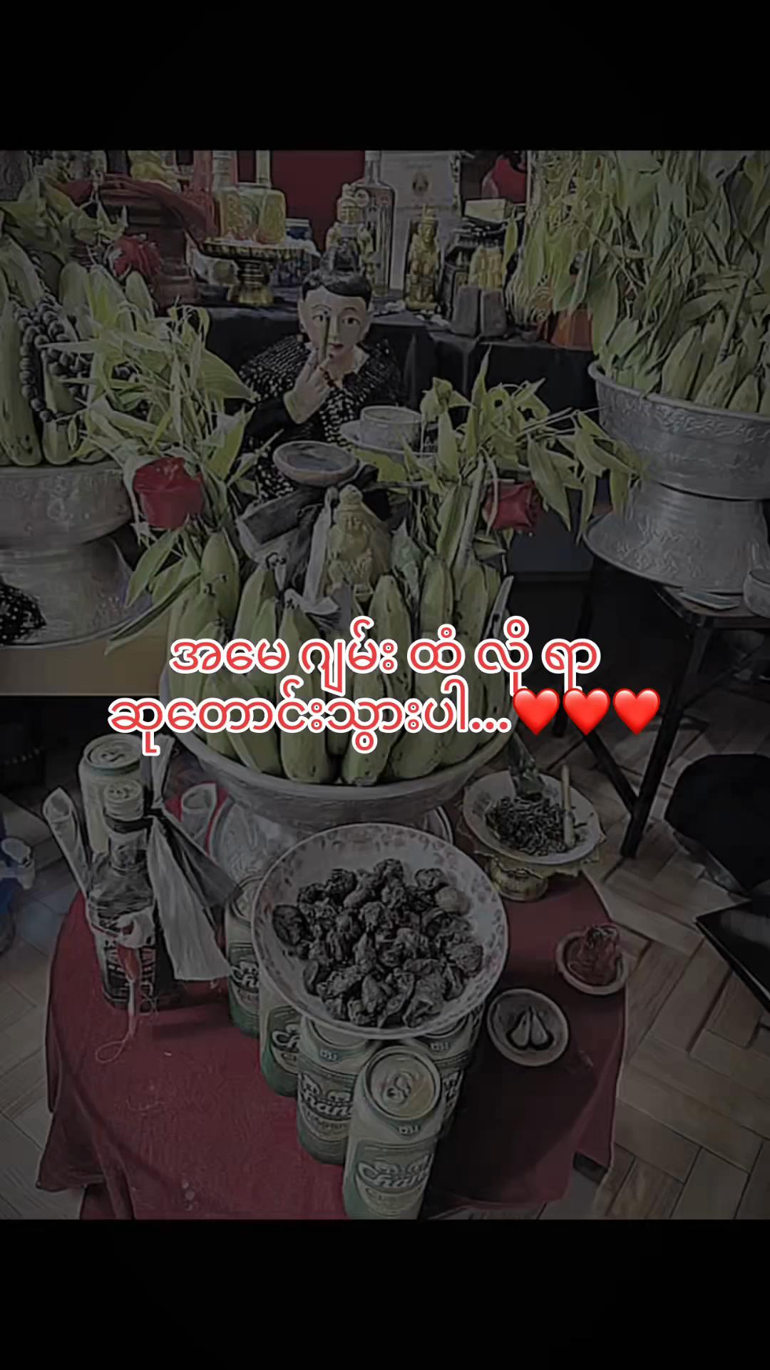@𝙷𝚝𝚎𝚝 𝙼𝚢𝚊𝚝 𝙿𝚊𝚒𝚗𝚐♻️