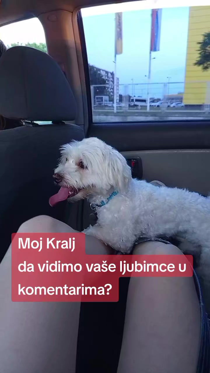 @๐ ๐๐ข๐๐๐ ๐