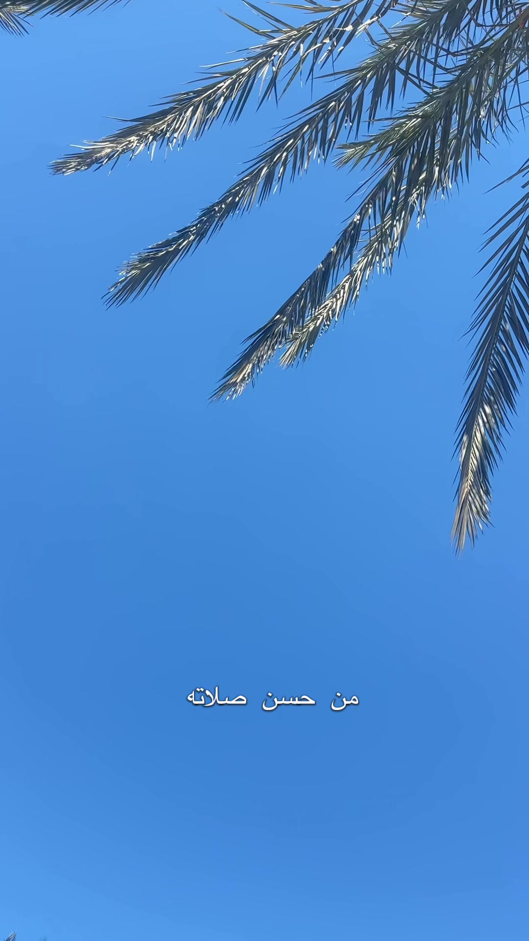@Ooba โก๐น