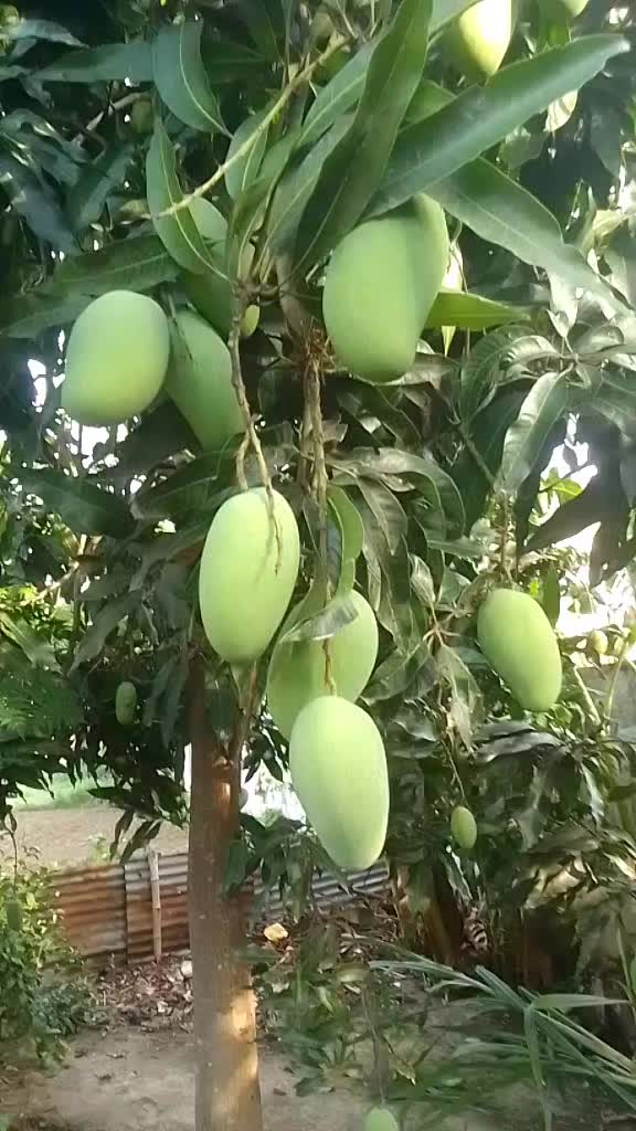 @Ajay  baniya