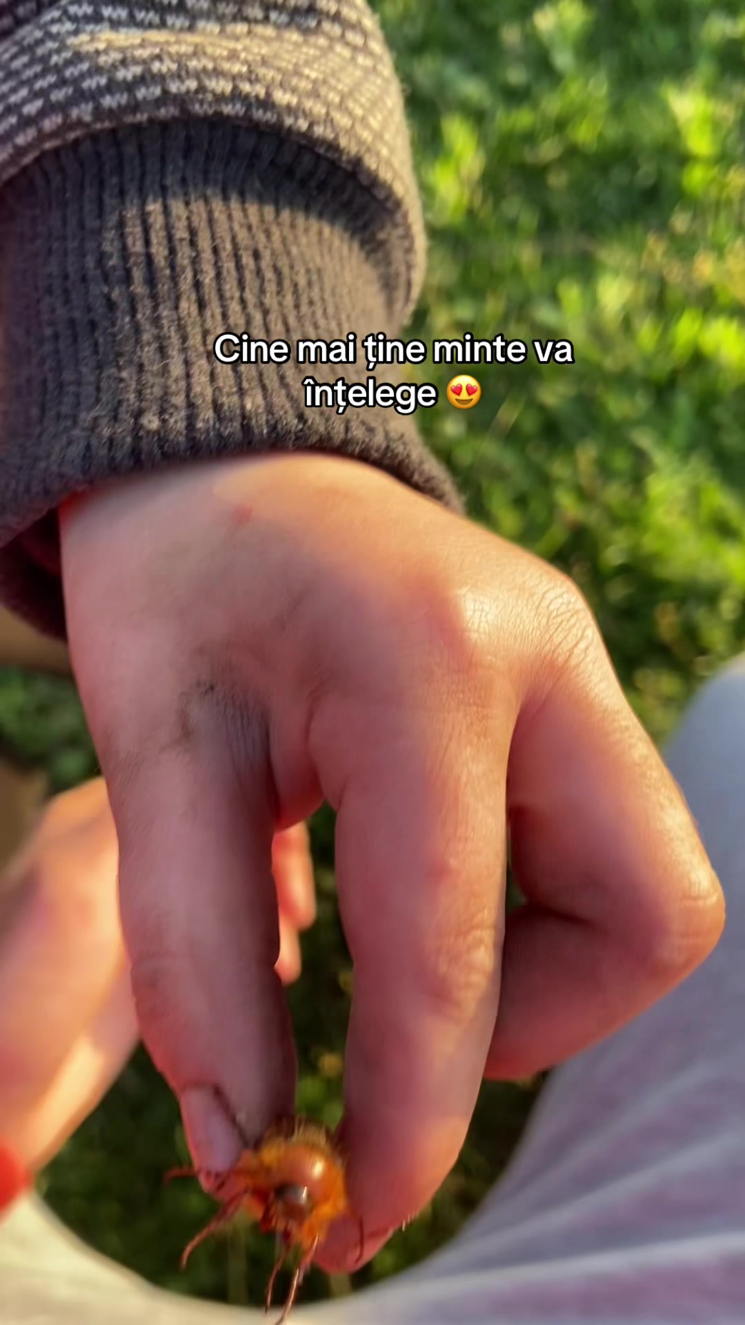 @Cristian