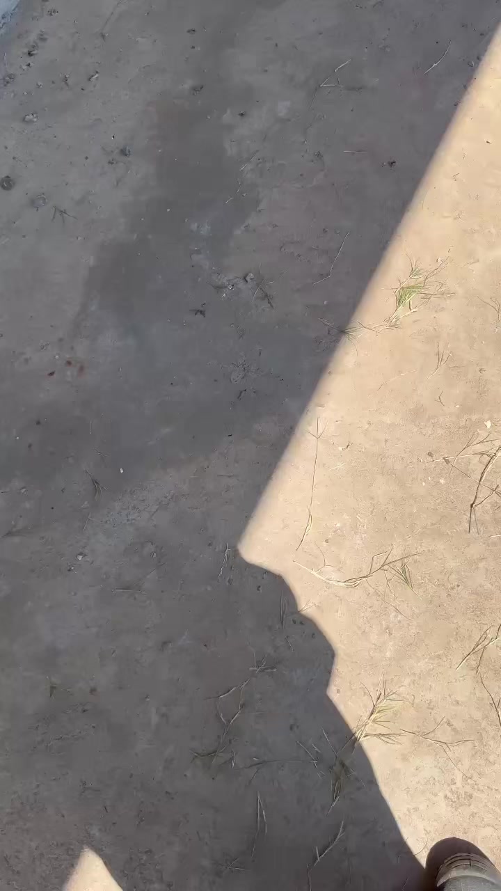 @Chelatechrepair