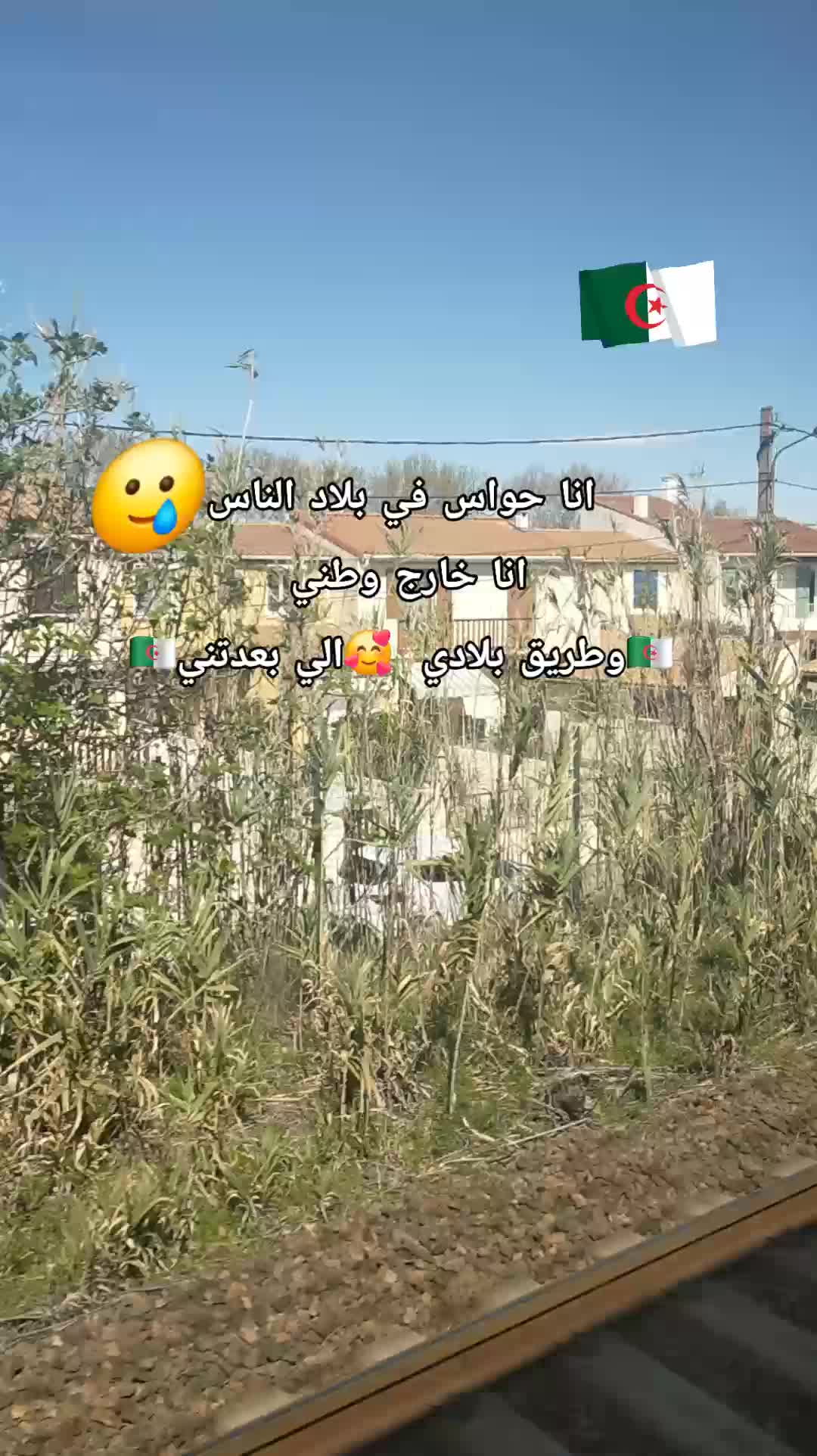 @CHAOUIA.DZ