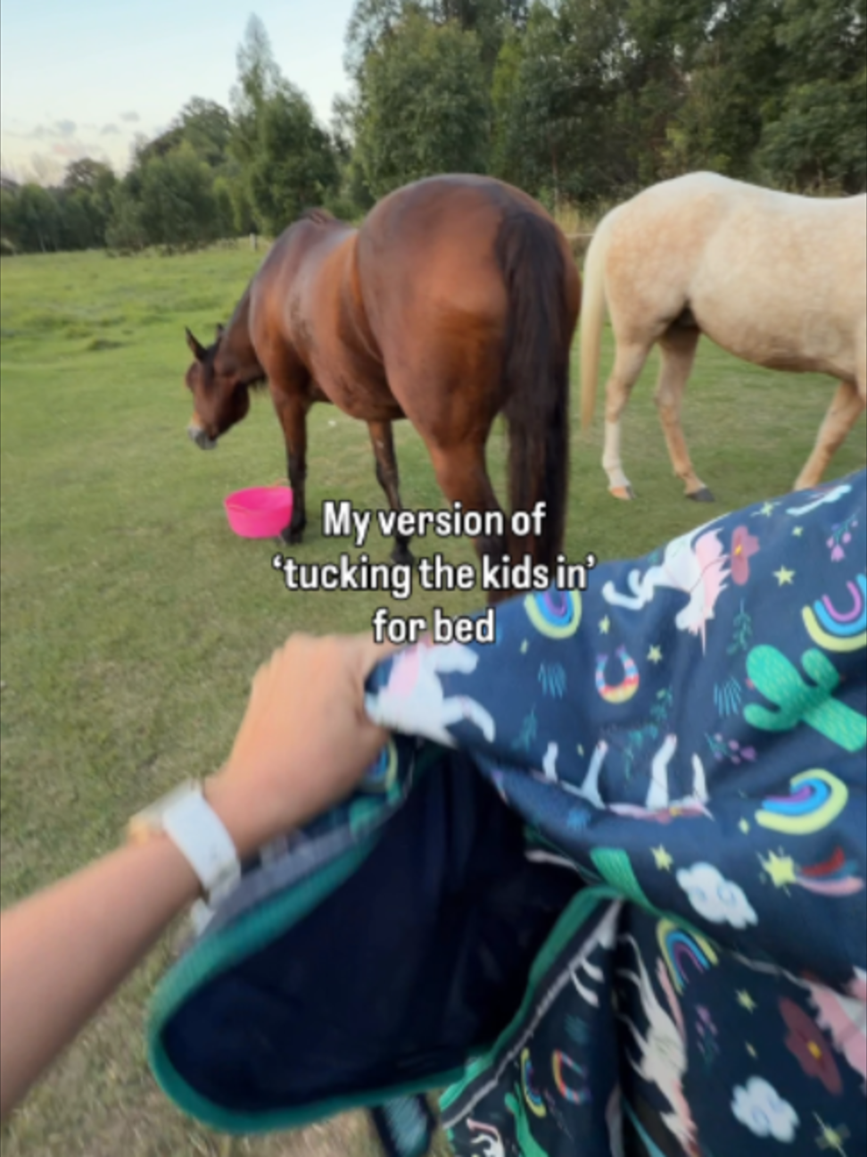 @Myhorsewillow