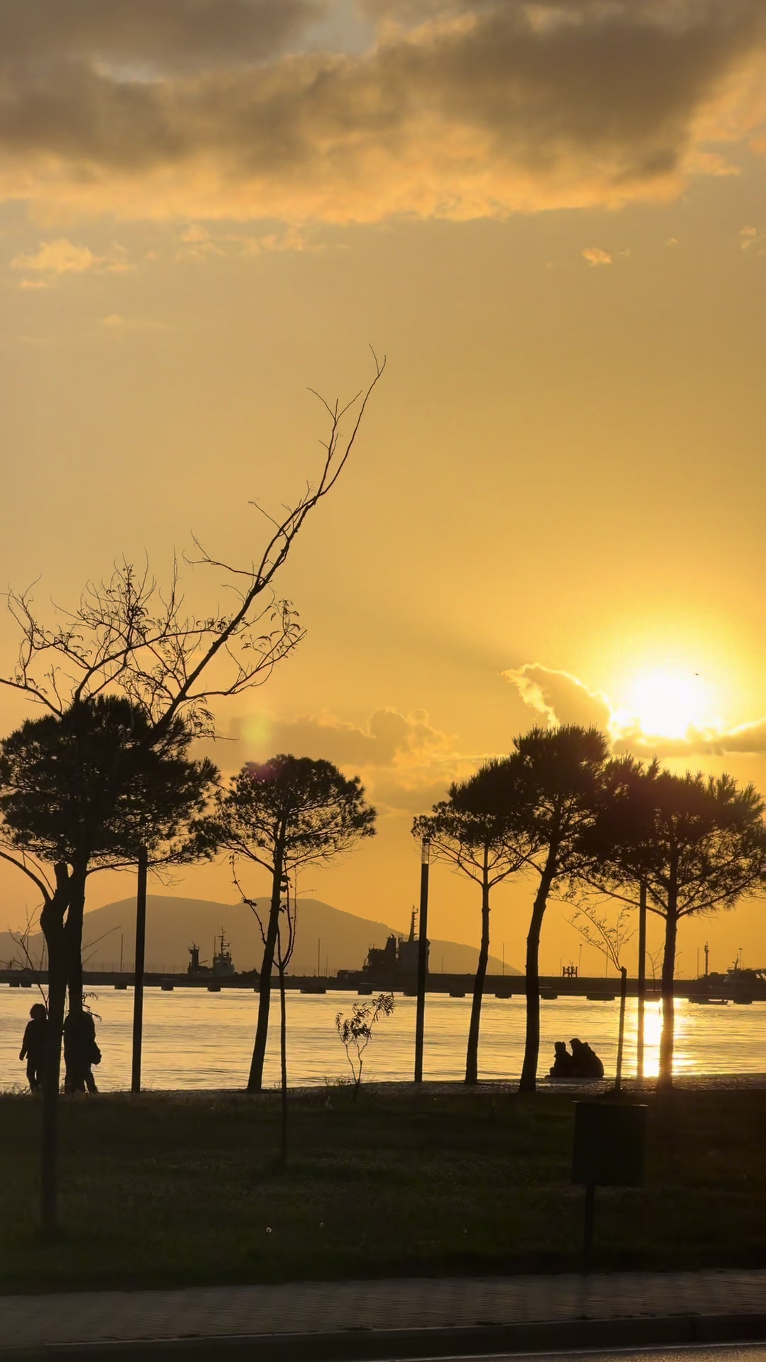 @Bonaparte Vlore