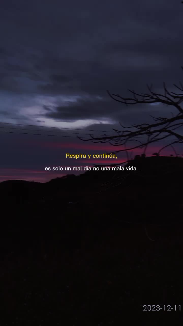 @Bibi Rojas 🍀