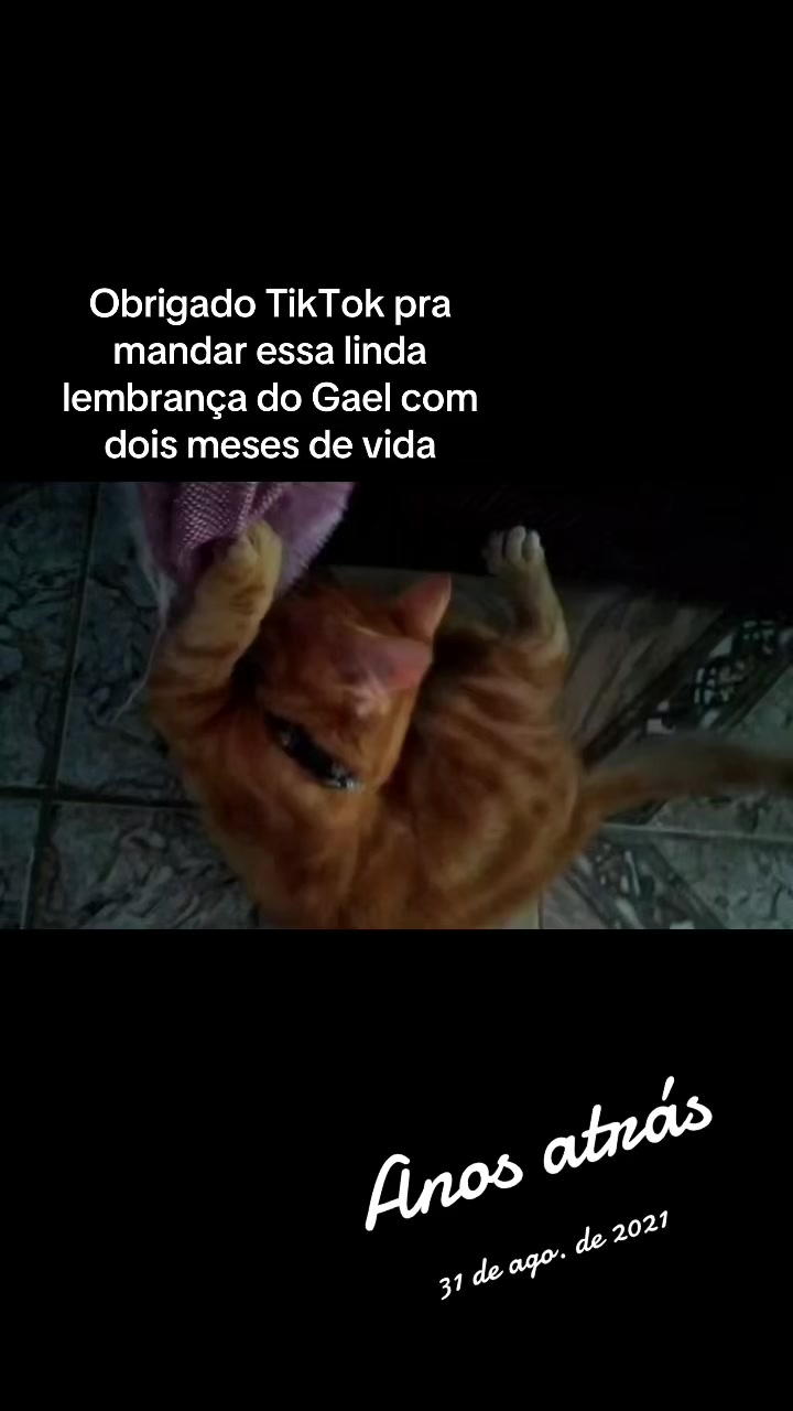 @Marlene gata mãe do gato Gael