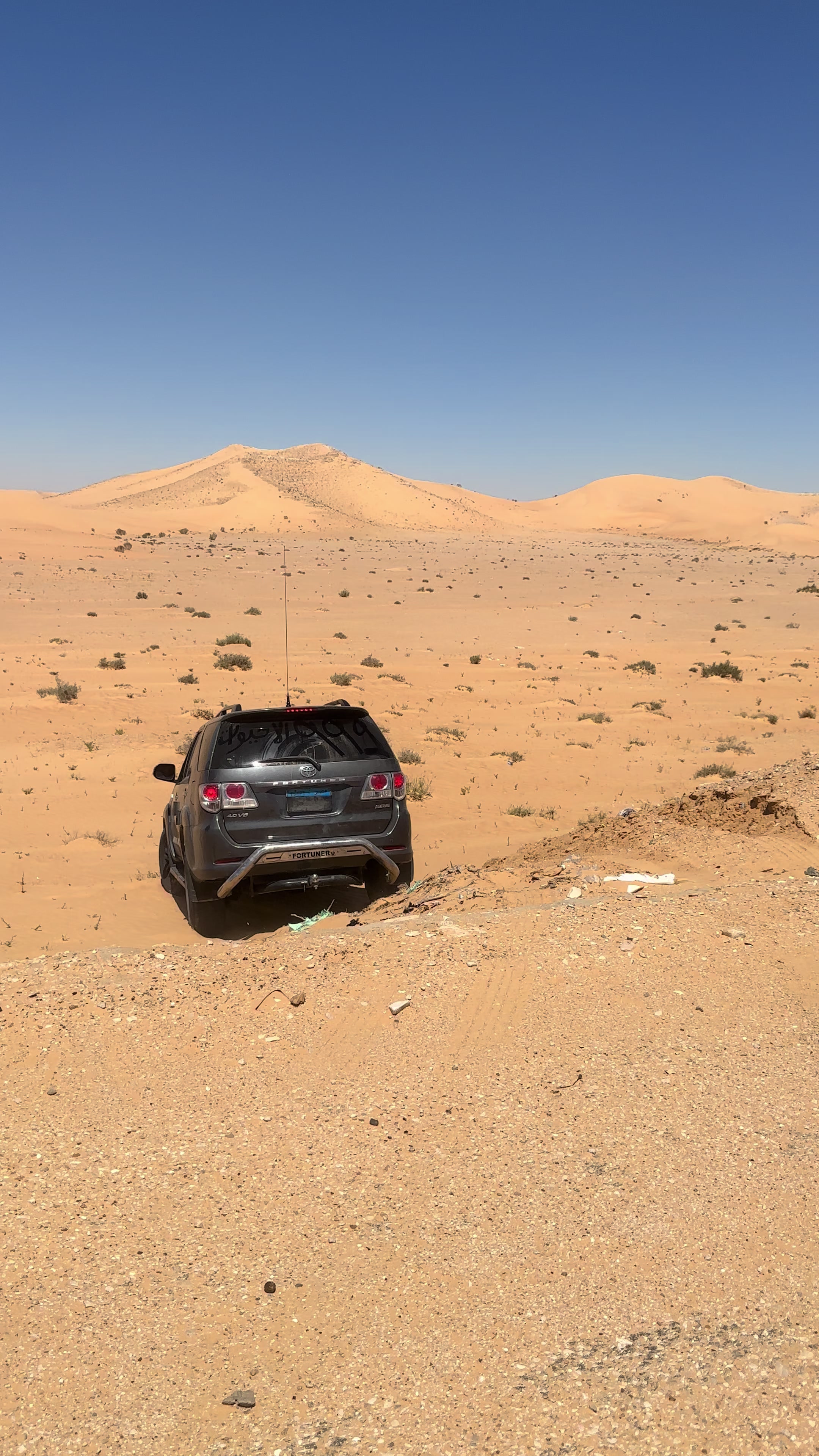 @محمدالاحيوي