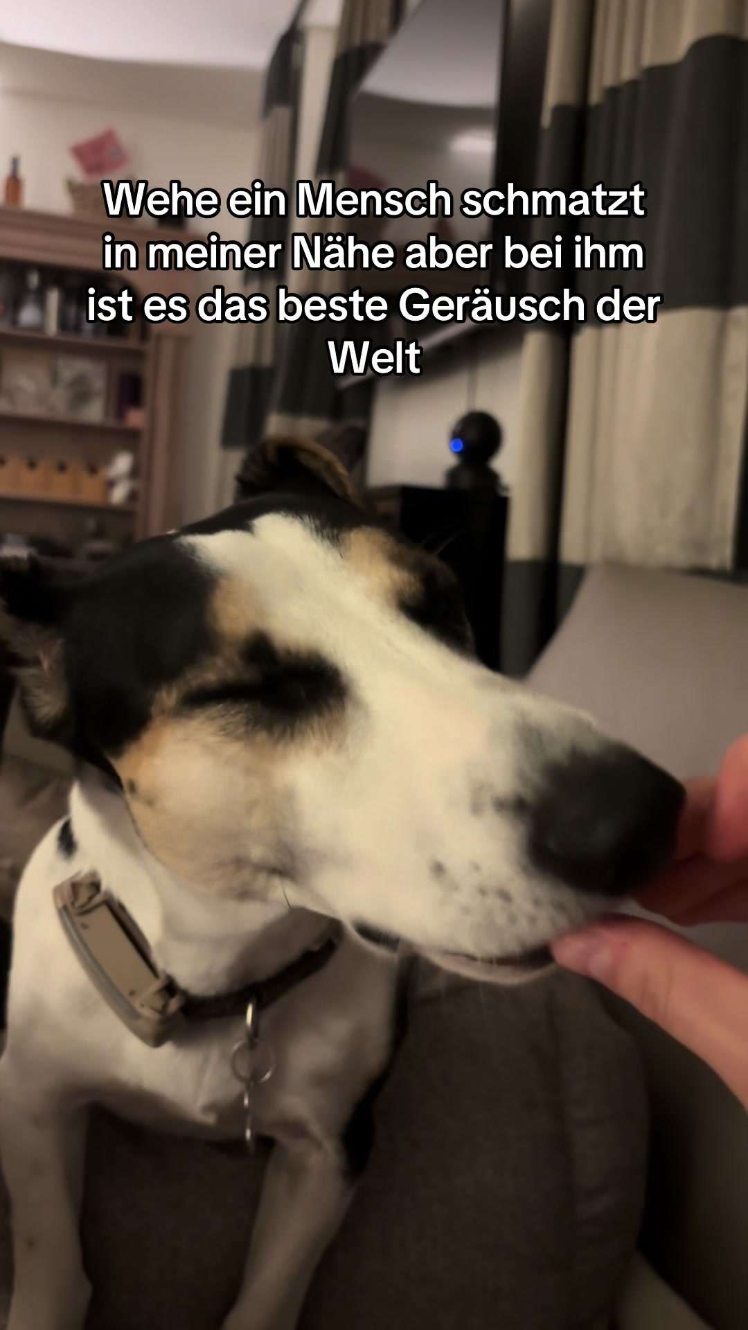 @Leonie Hammel