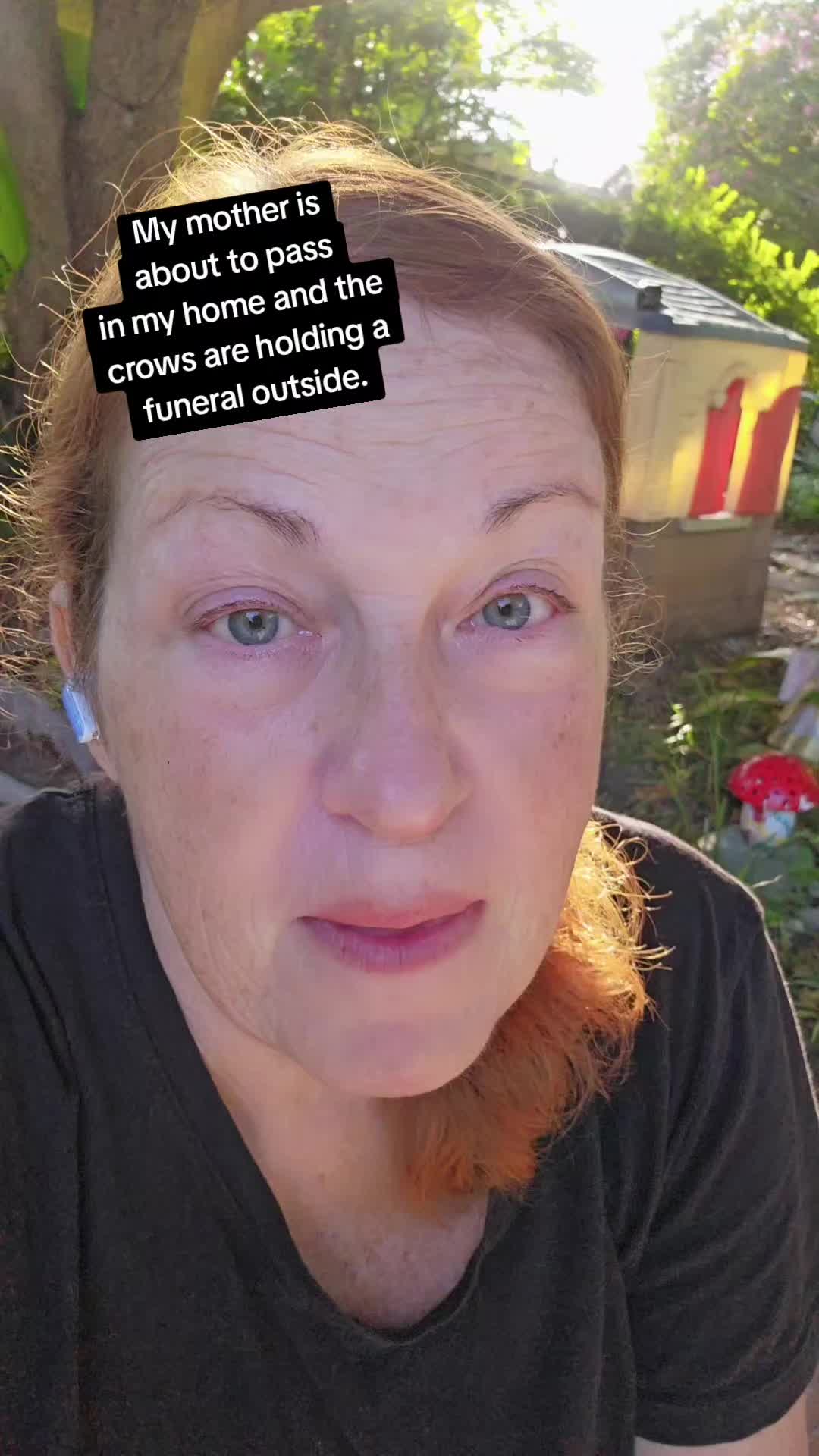 @CommentQueen757