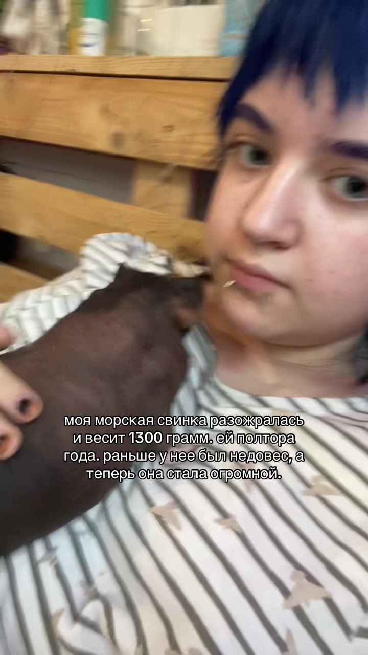 @xॐСⒶШⒶ НⒺЙРОПⒶНКॐx
