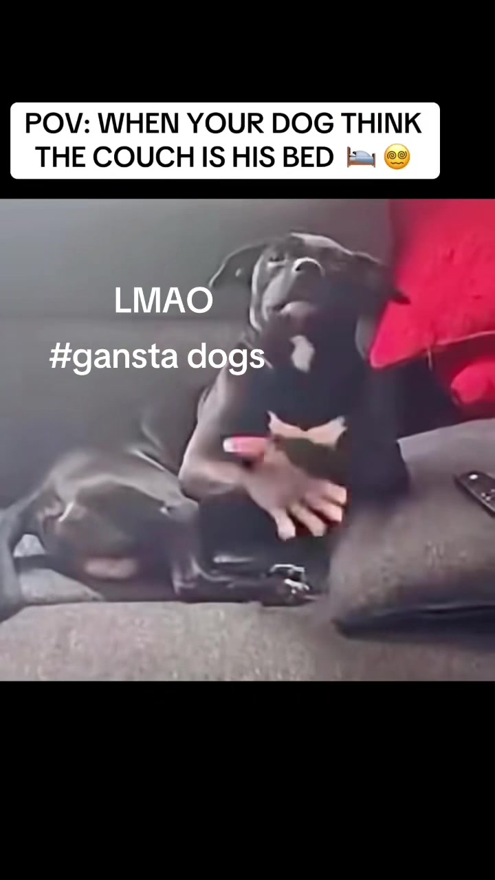 @ganstagirlsoklahoma
