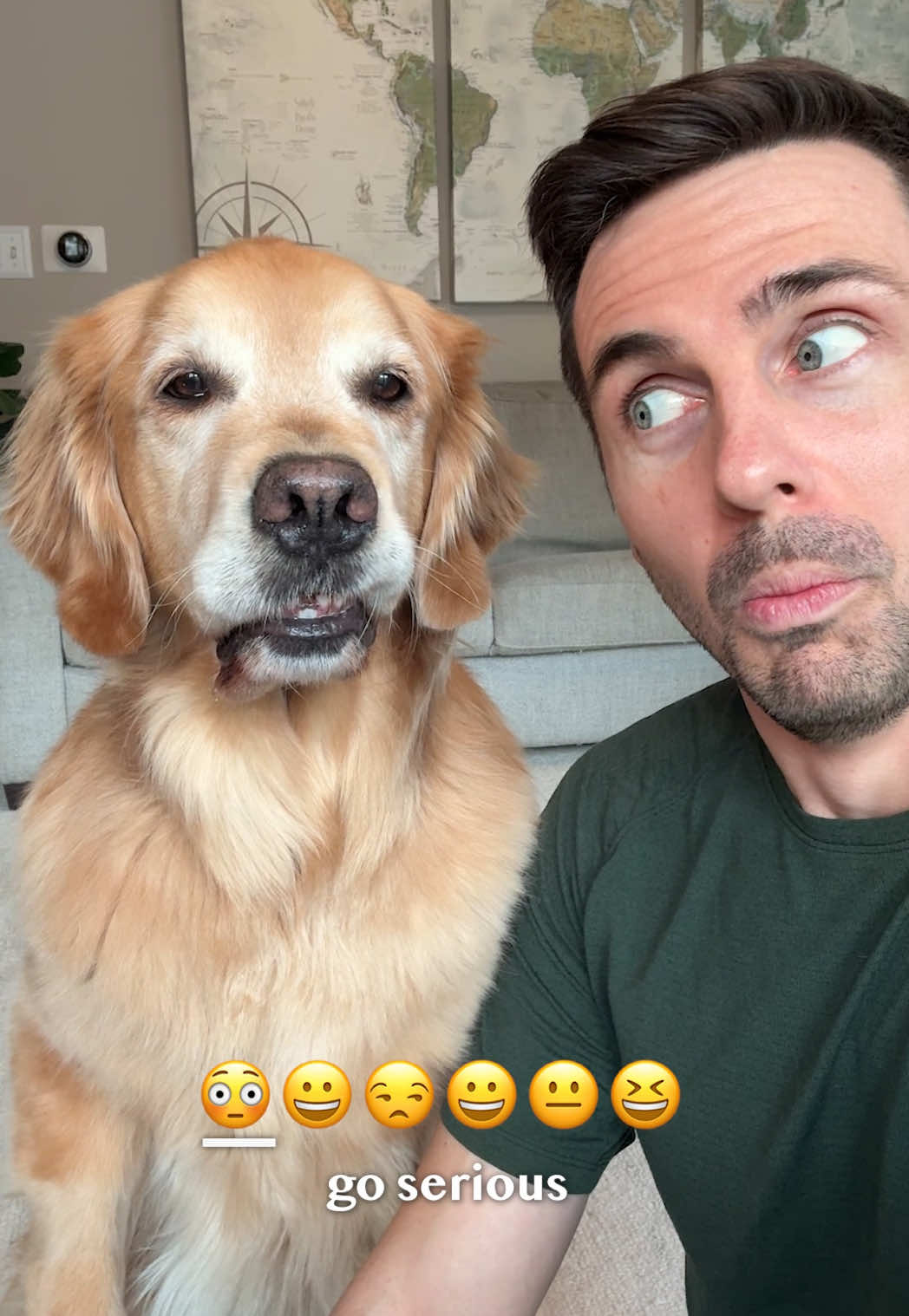@Golden Retriever Life
