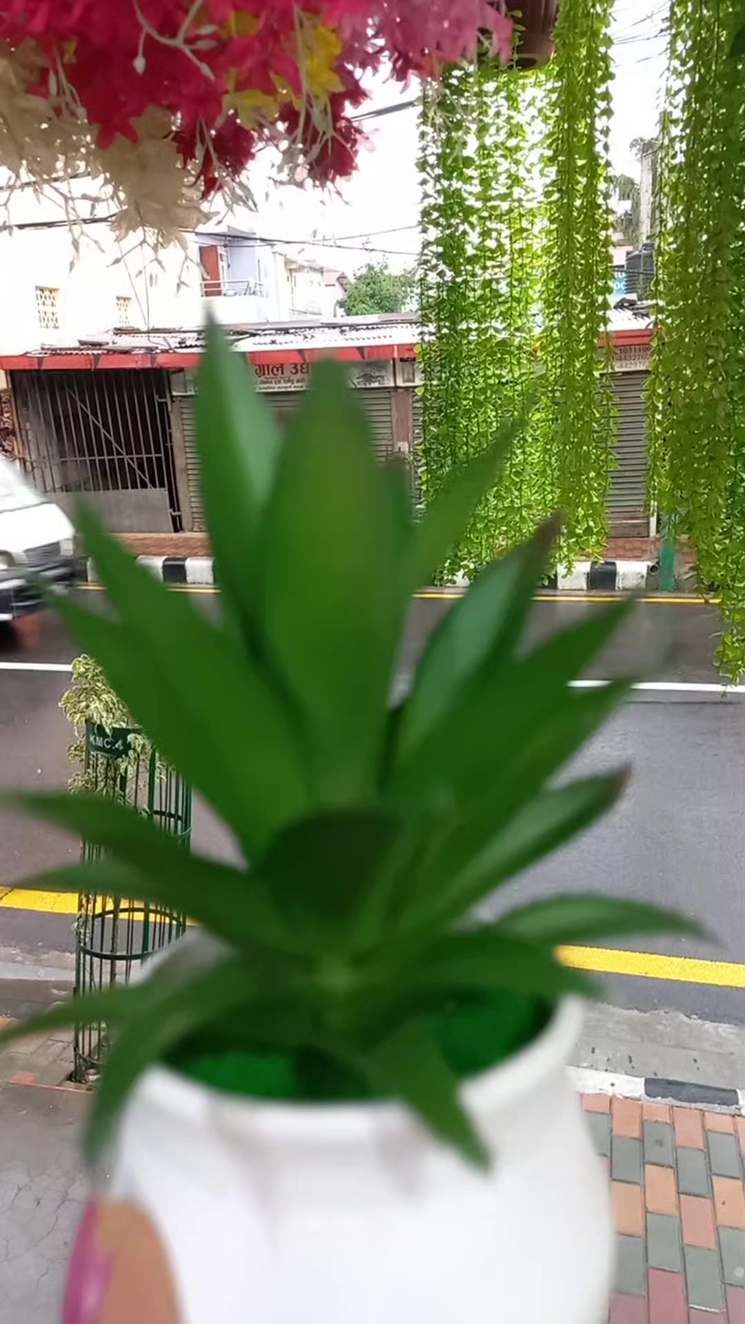 @Flora_p0int-dhumbarahi