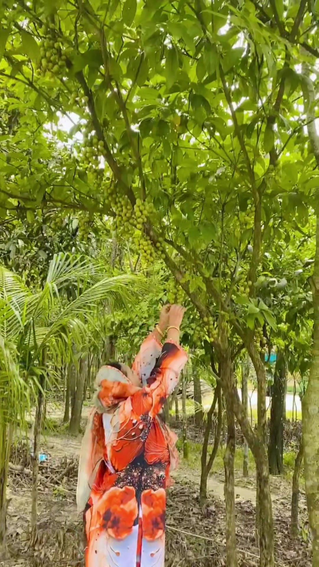 @👩⚕️ MrŠ. Ñijhüm Hāydār 🩷🌝