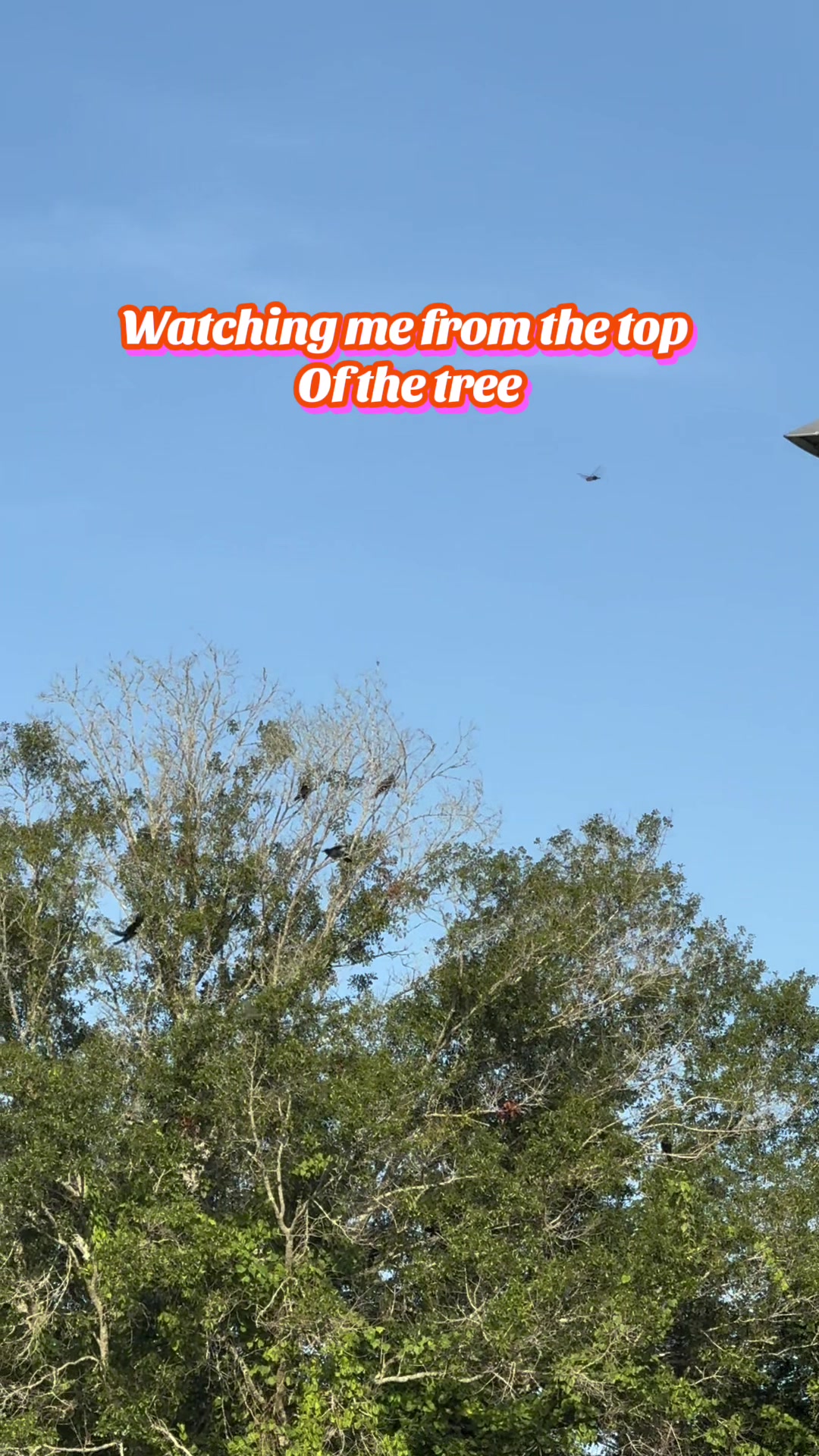 @Buffy_In_Louisiana