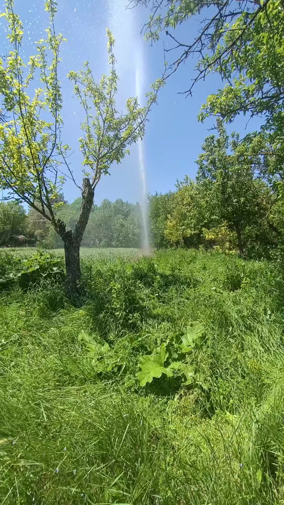 @sefa_sefa37