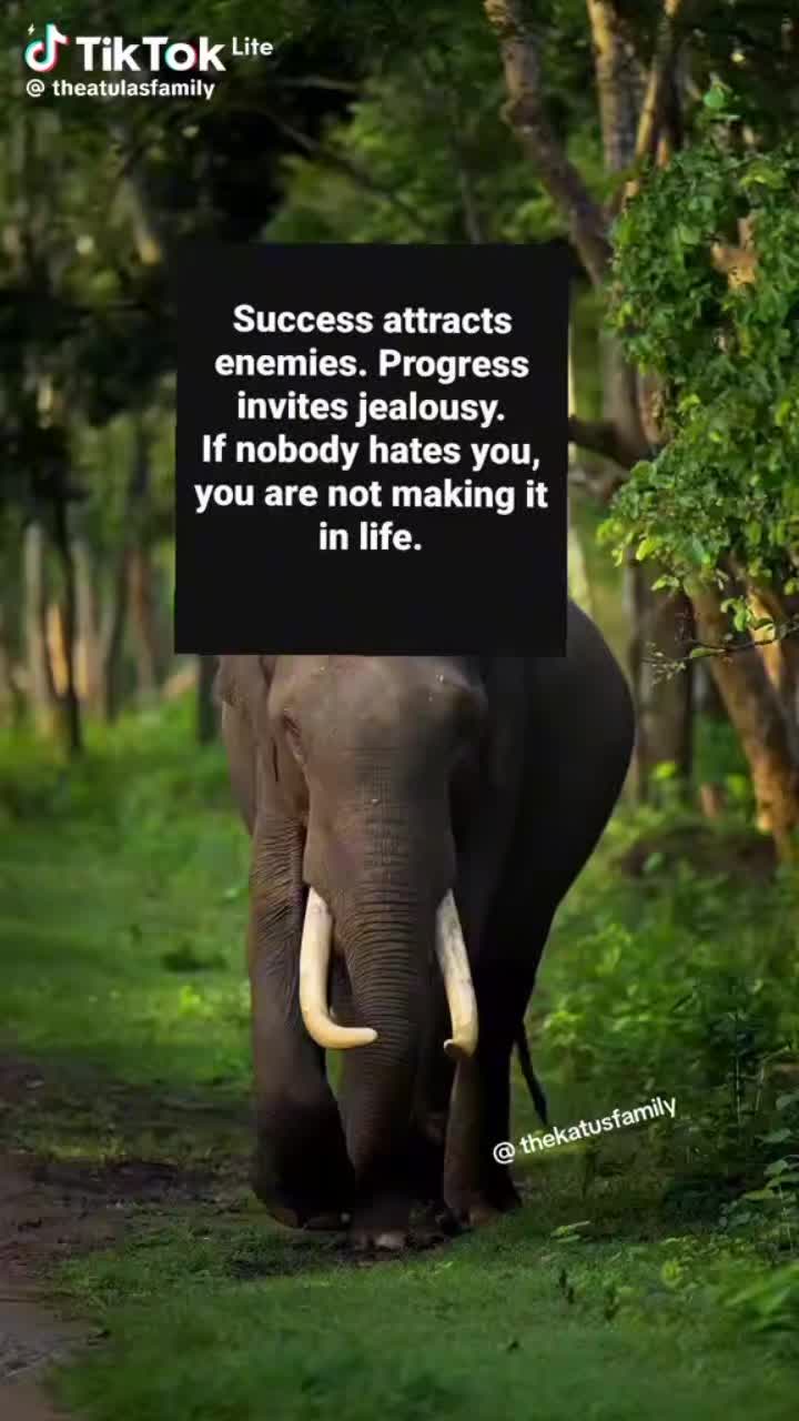 @Emirates