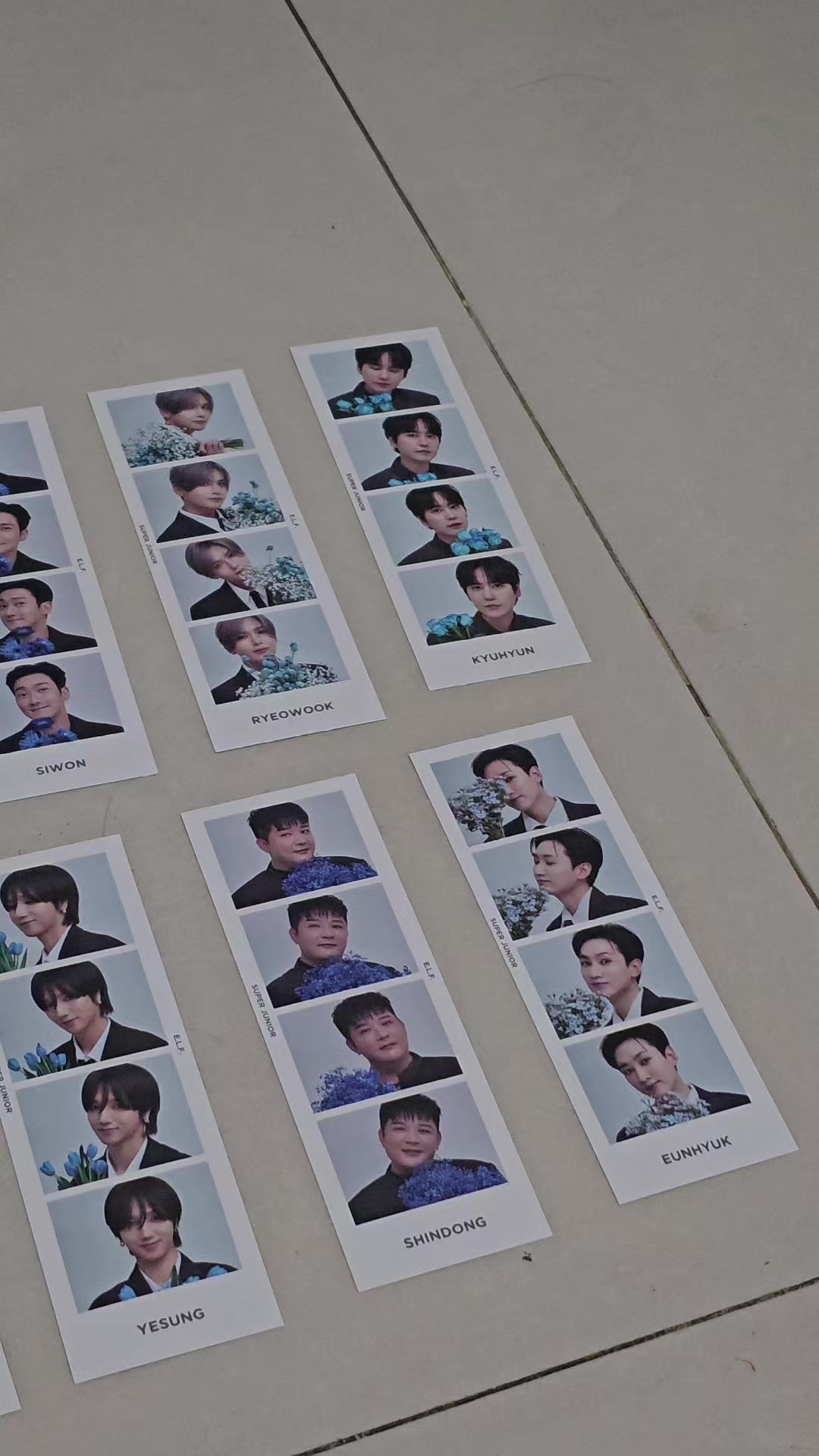 @Dream of haru