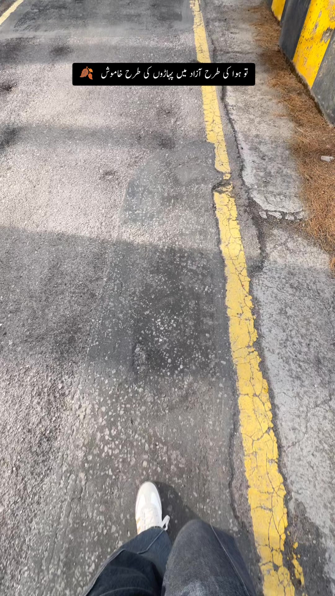 @مسافر 🍁