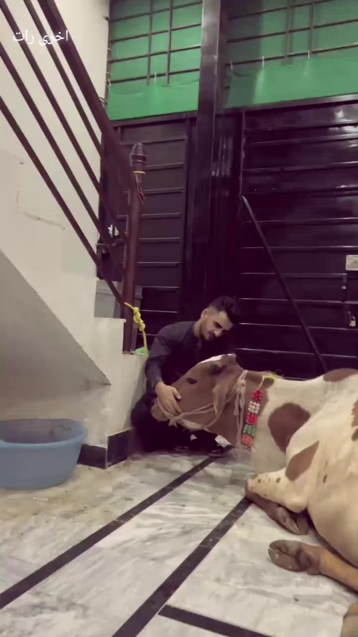@❤️نیسو بھائی ❤️
