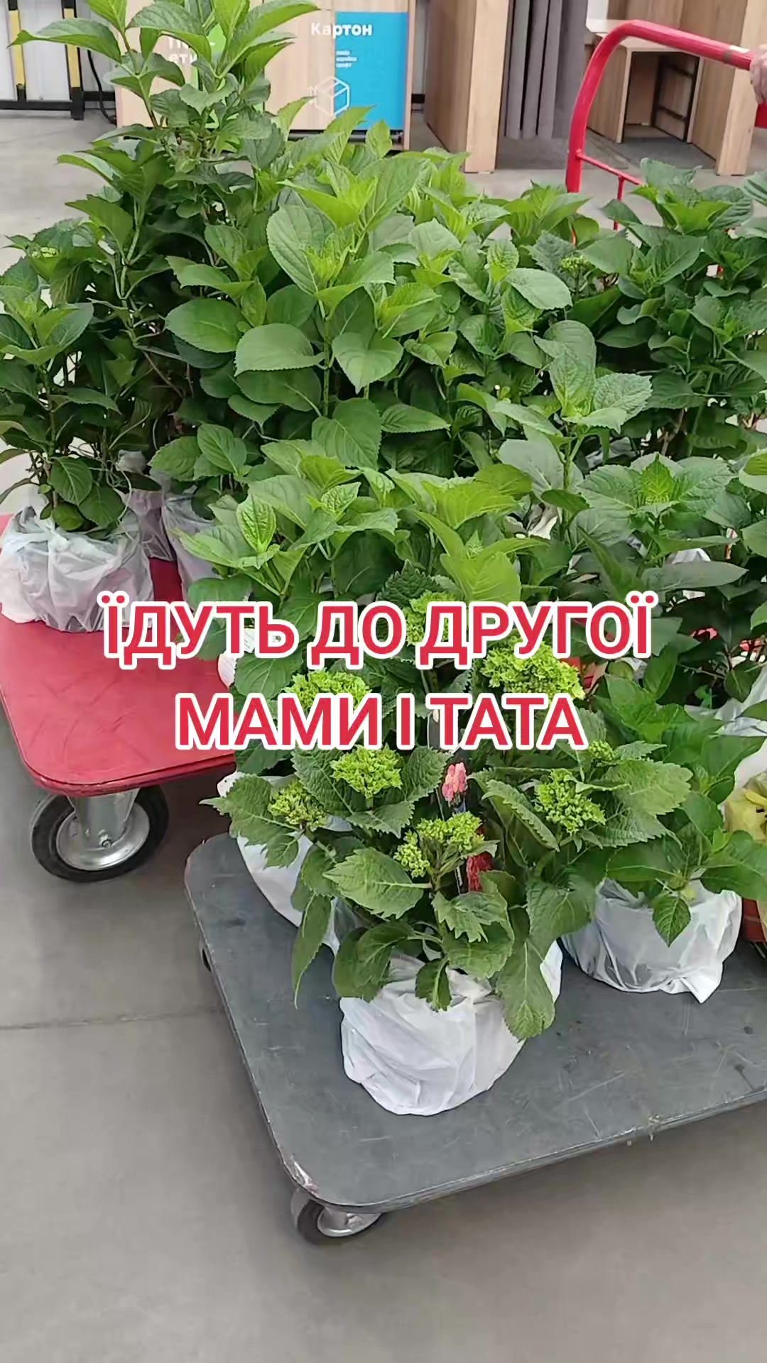 @🦋 Larisa_Fedorovna 💐